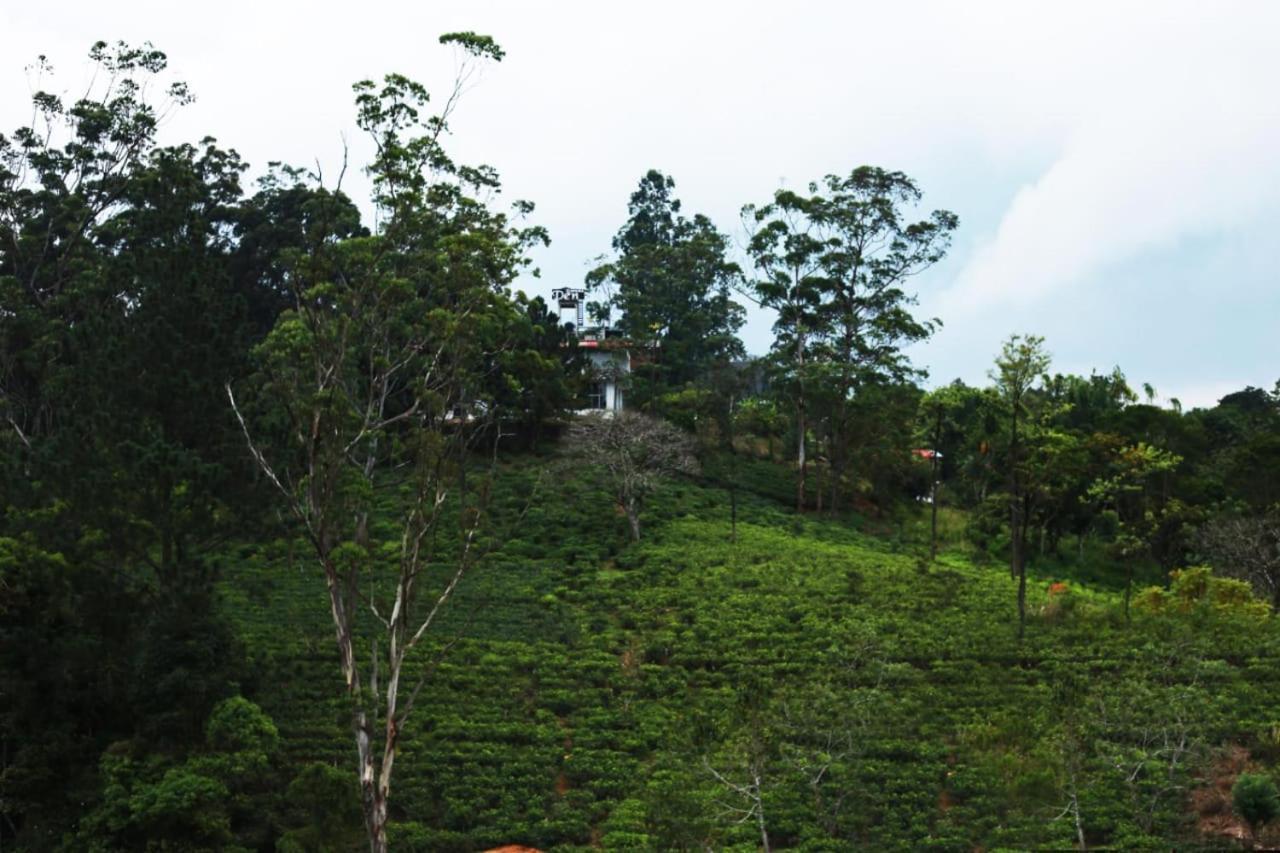 City Heaven Ella Luaran gambar