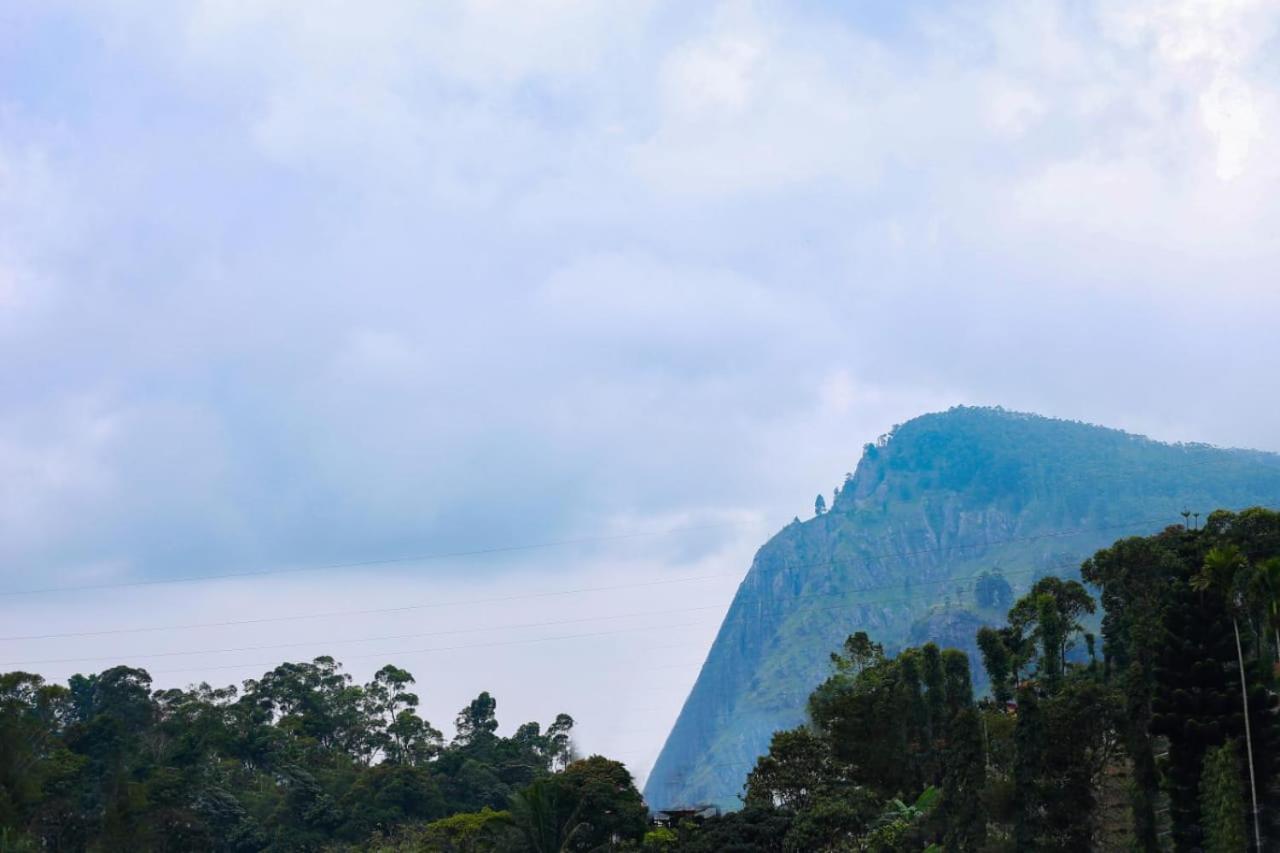 City Heaven Ella Luaran gambar
